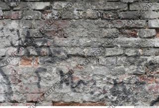 Photo Textures of Wall Bricks Plastered